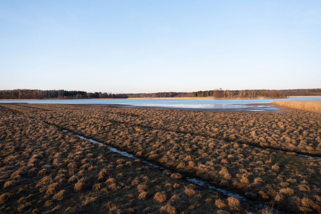 l_photo02