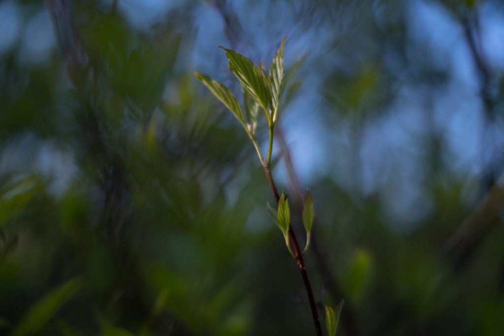 l_photo03