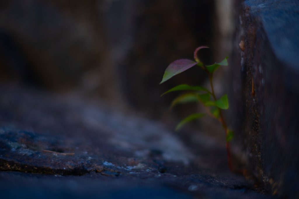 l_photo05