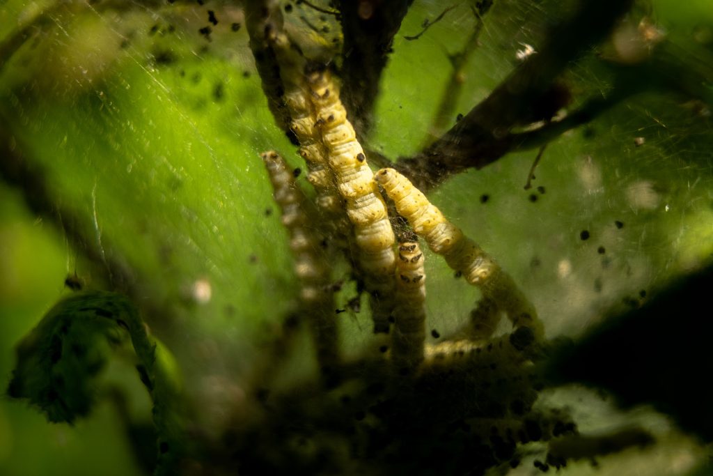 l_photo07