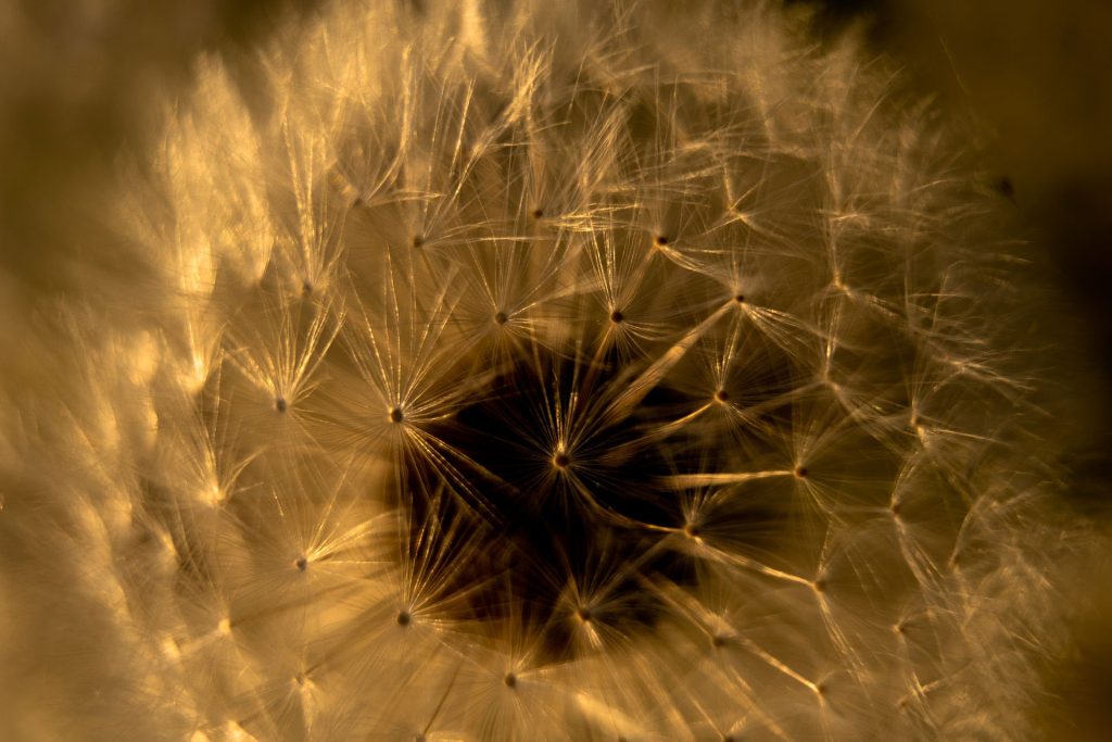 l_photo08