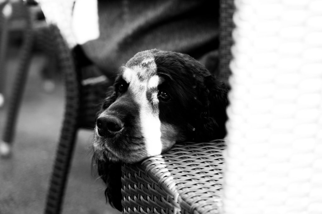 l_photo10
