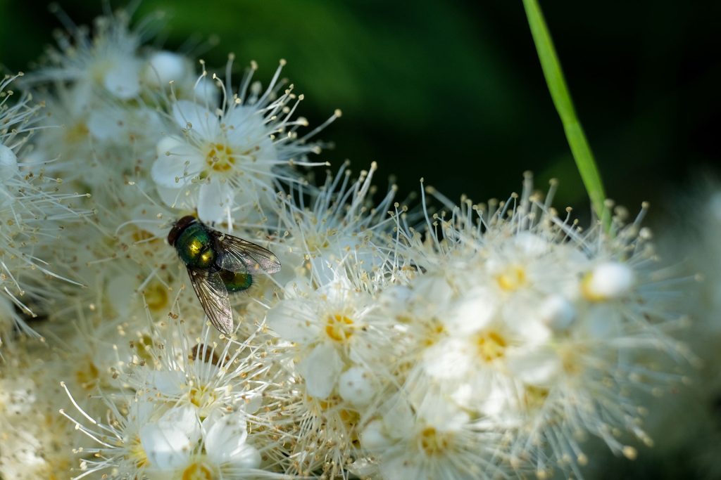 l_photo21
