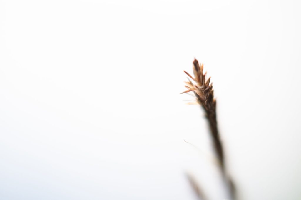 l_photo23