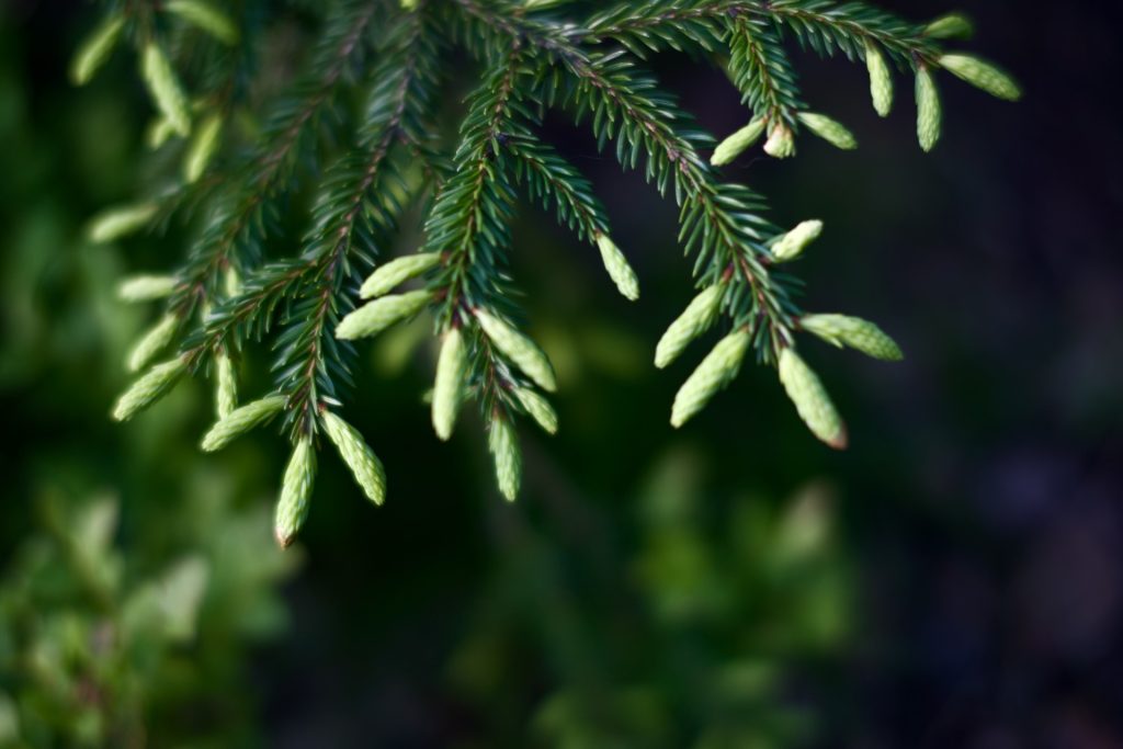 l_photo31