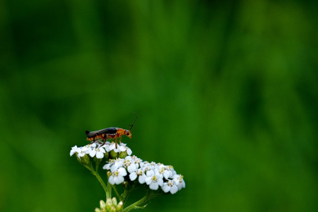 l_photo32