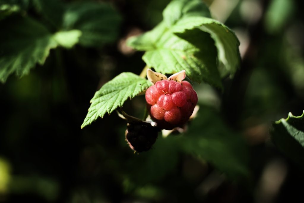 l_photo33