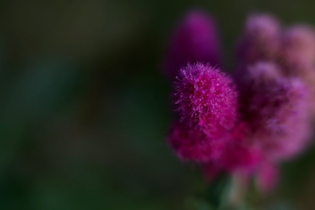 l_photo34