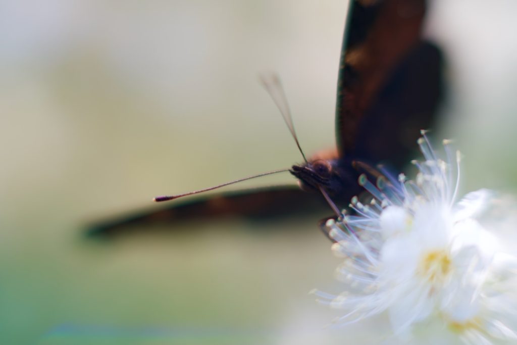 l_photo35