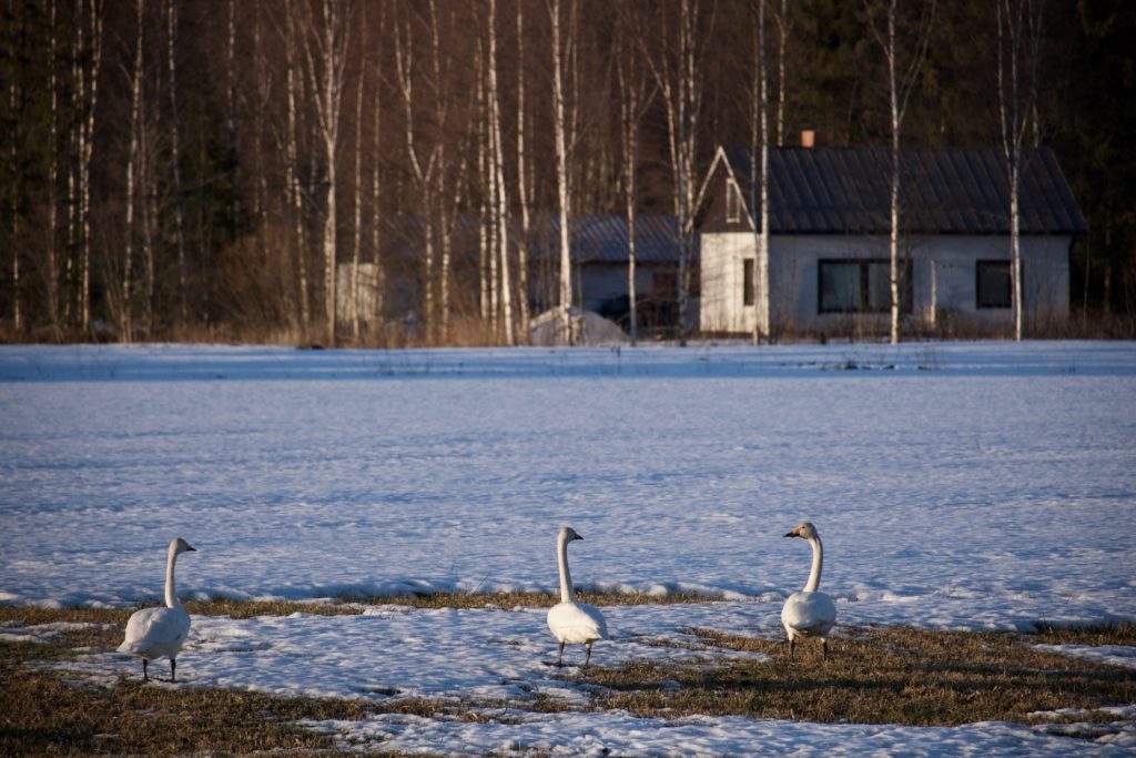 l_photo43
