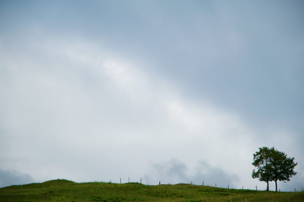l_photo49