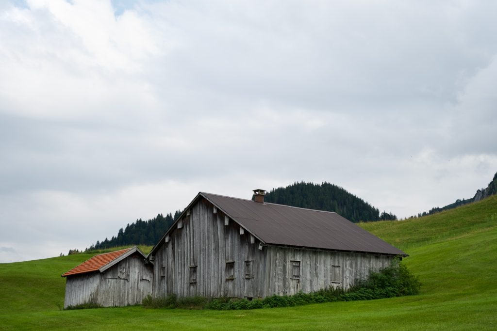 l_photo50