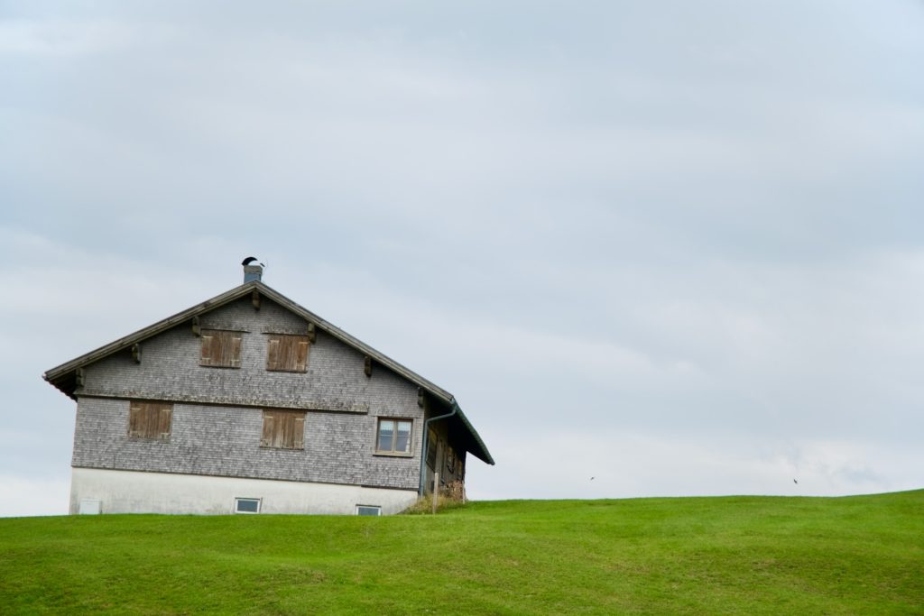 l_photo62