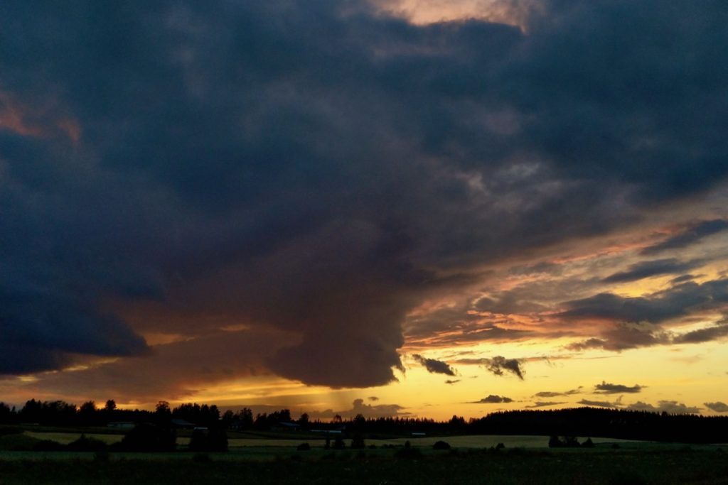l_photo65